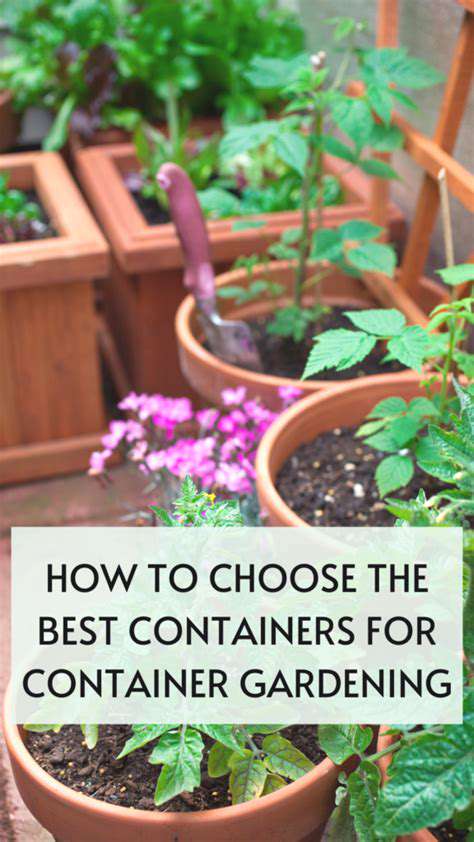 ChoosingtheRightContainersforYourGarden