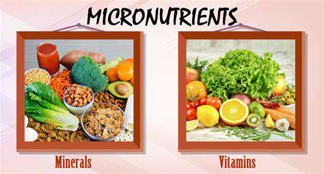 Understanding Your Micronutrient Needs for Optimal Health