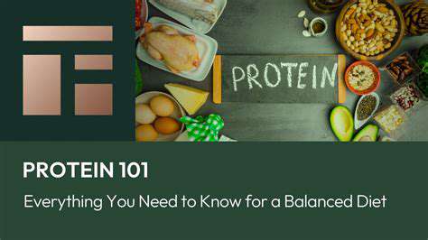 Plant Based Snacks for On the Go Lifestyles