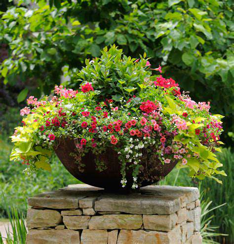 SoilandPlantingTechniquesforContainerGardens