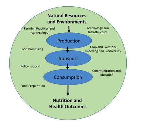 TheEnergyConsumptionoftheFoodSystem