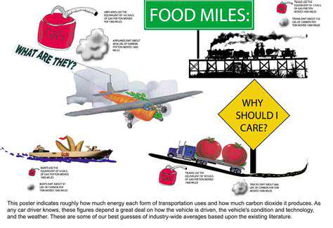TheEnvironmentalImpactofFoodTransportation