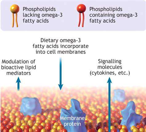 TheFoundationofCellularFunction:WhyOmega-3sMatter