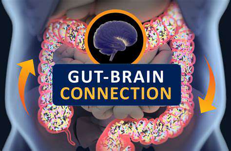 Personalized Nutrition for Brain Fog