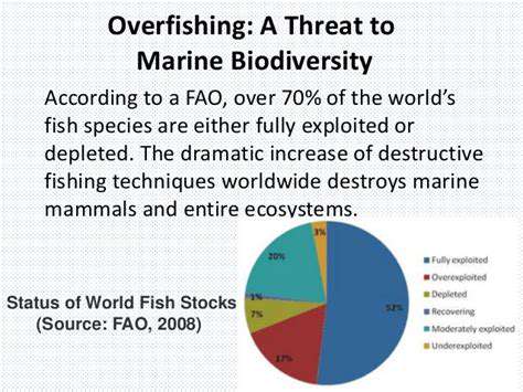 The Impact of Food Choices on Marine Life