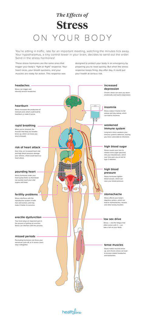 Decoding Your Stress Response for Personalized Nutrition