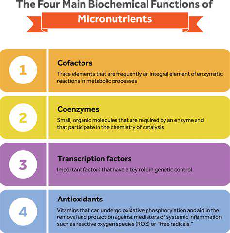 TheRoleofMacronutrientsinMetabolism