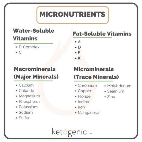 TheRoleofSupplementsandMicronutrients