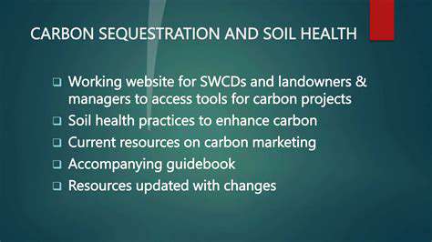 The Role of Regenerative Agriculture in Climate Change Mitigation