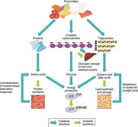 Decoding Your Genetic Markers for Macronutrient Response