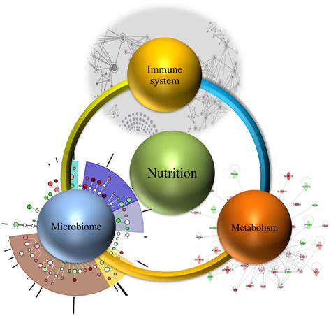 Personalized Nutrition for Chronic Inflammation